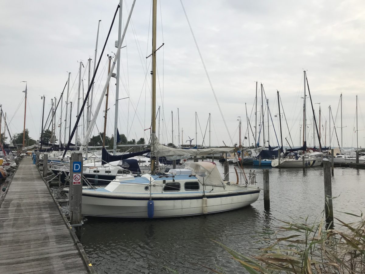 Lauwersmeer am Hafen Oostmahorn 1.10.2020